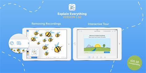 Image result for Everything Explained