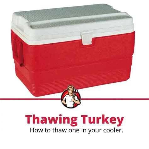 How to Thaw a Turkey in a Cooler (5 Easy Steps) - The Grilling Dad