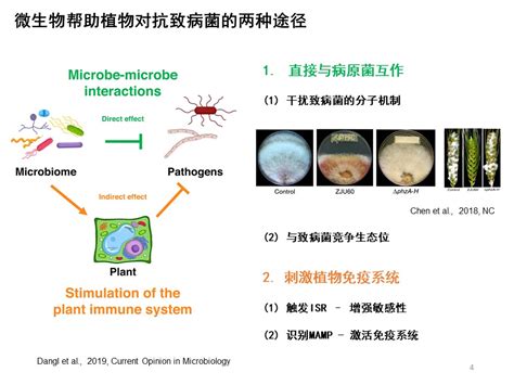 Science：致病菌激活根系内生微生物组抵抗病害的功能_nycodenz_刘永鑫Adam的博客-程序员宅基地 - 程序员宅基地