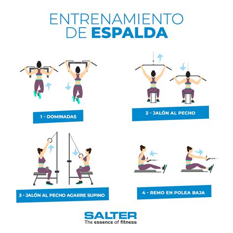 Rutinas De Gym