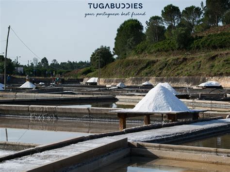 TUGABUDDIES (2026) All You Need to Know BEFORE You Go (with Photos ...