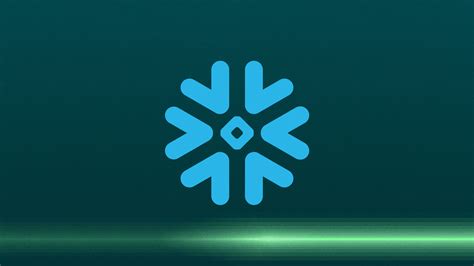 Snowflake Data Type Symbols 的图像结果