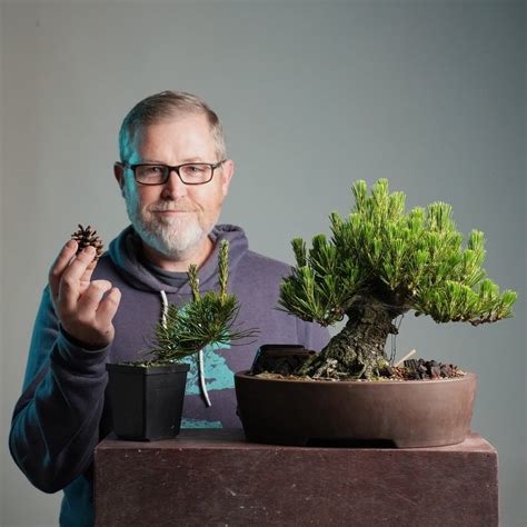 Bonsaify | Mastering Shohin Japanese Black Pine Bonsai eCourse: A Step ...