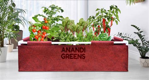 Anandi Green's 400 GSM Geo Fabric Rectangular Plant Grow Bags with PVC ...
