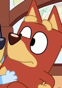 Image result for Bluey Characters Rusty