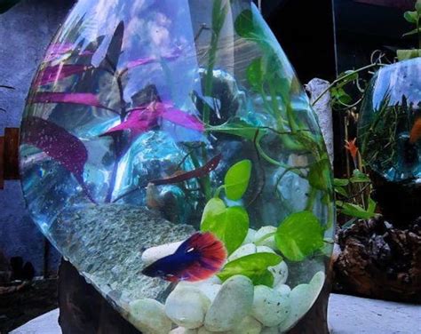 Beach Terrarium/ Terrarium Container /miniature Beach/ Glass Terrarium ...