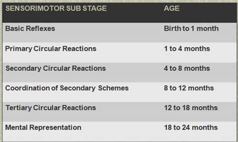 Unit 2: Theoretical Approaches to Development