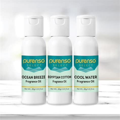 Buy Purenso Select - Fragrance Oil Combo - Ocean Breeze + Egyptian ...