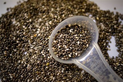 do chia seeds need light to germinate