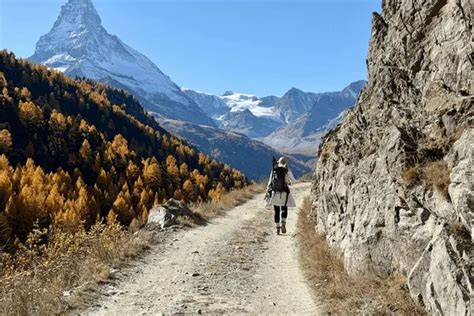 Hiking in Switzerland: Ultimate Guide to Swiss Trails