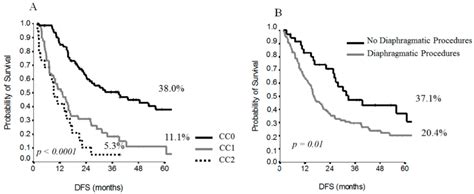 Cytoreductive Surgery with Hyperthermic Intraperitoneal Chemotherapy ...