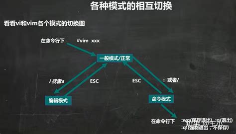 Simvim Tutorial 的图像结果