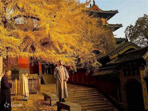 All Inclusive Private Day Tour to Shaolin Temple & Longmen Grottoes ...