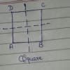 Which of the following do not have line of symmetry a. Isosceles ...