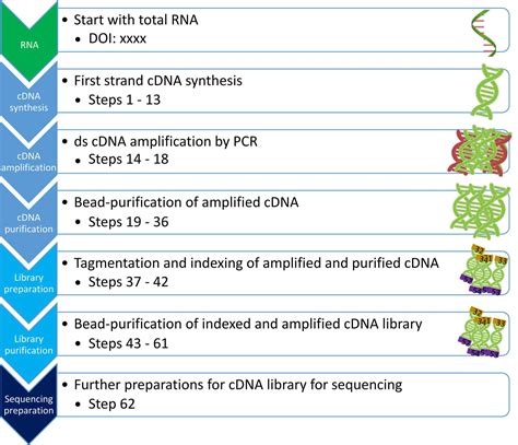 Image result for cDNA Library Applications