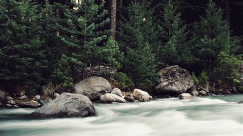 Download wallpaper 1920x1080 river, stones, stream, trees, spruce ...