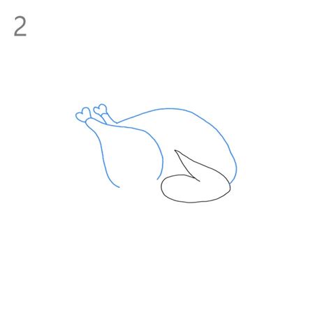 Cooked Turkey 的图像结果