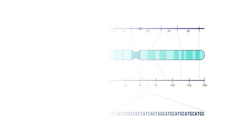 Image result for Physical Map