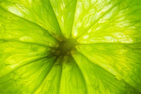 Image result for Lemon Slice Texture