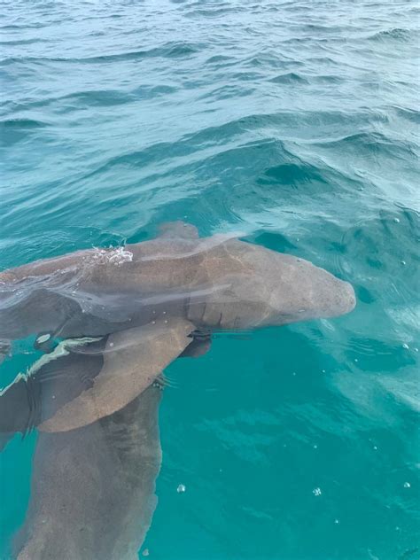 Image result for Explainingcomputers 2022