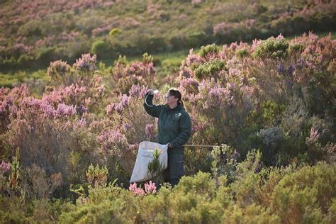 Friendly Local People 的图像结果