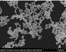 Image result for 纳米粒子 nanoparticles