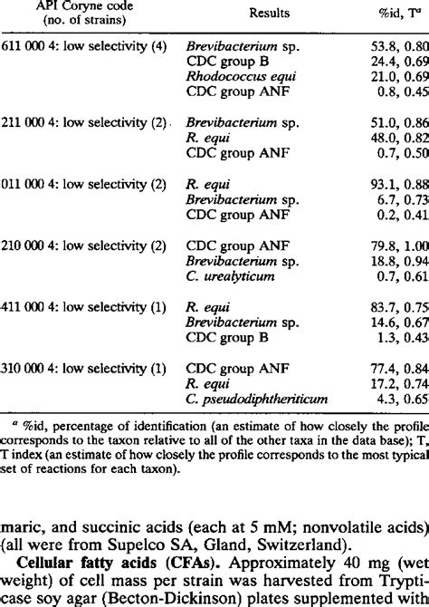 Image result for API Coryne