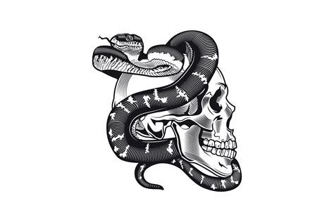Image result for Skull Pattern Python