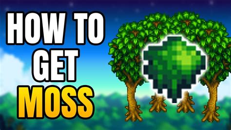 Where To Find Moss In Stardew Valley (Moss Farming Guide) - YouTube