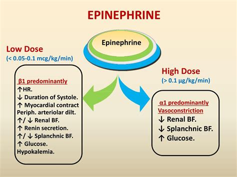 PPT - INOTROPES IN CARDIOGENIC SHOCK PowerPoint Presentation, free ...