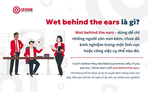 Thành ngữ "Wet behind the ears" và cách ứng dụng hiệu quả vào bài thi ...