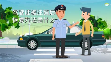 2018吊销驾驶证的情况|国内驾照信息 - 驾照网