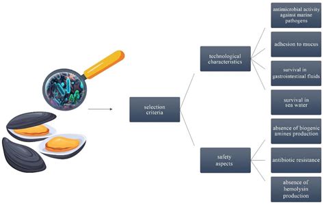 Lactic Acid Bacteria of Marine Origin as a Tool for Successful ...