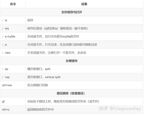 Simvim Tutorial 的图像结果
