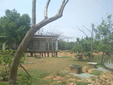 The Outback Farm & Home-stay (Bengaluru) - Guesthouse Reviews, Photos ...