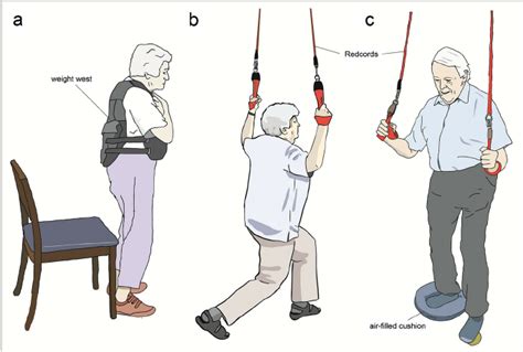 Image result for Exercise Program Examples