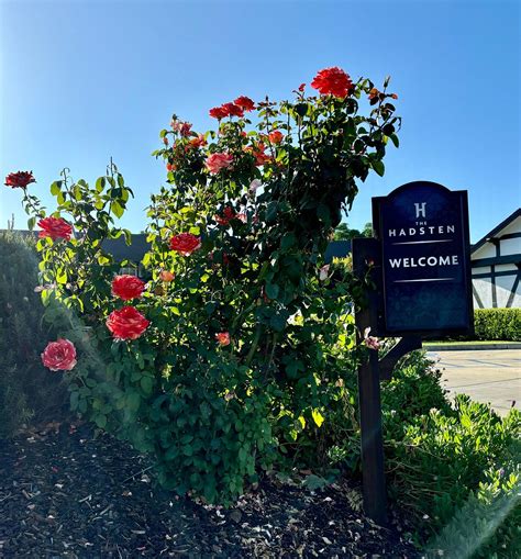 THE HADSTEN SOLVANG, TAPESTRY COLLECTION BY HILTON - Hotel Reviews ...