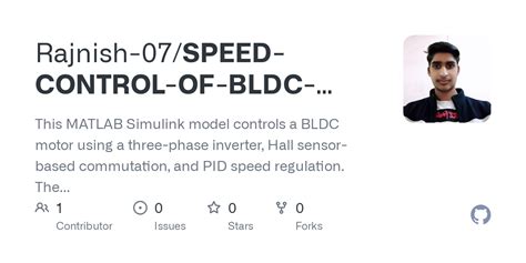 BLDC Control Matlab 的图像结果