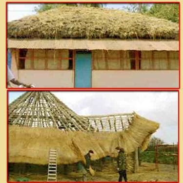 Cost Of Thatch House In Chennai - Western##American##Andhra Style ...