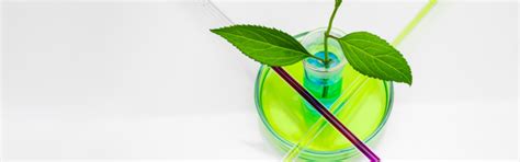 MSc – Organic Chemistry - Ramaiah College of Arts, Science and Commerce