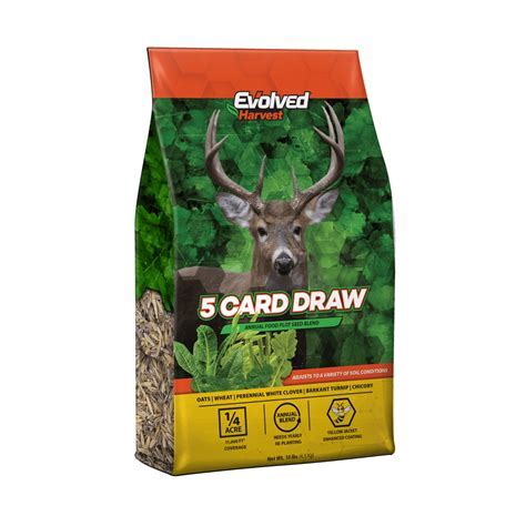 5 card draw food plot|APK V 2.69