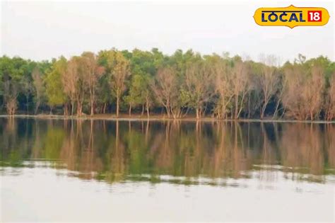 Purulia Tourism: ড্যাম-জঙ্গল-পাহাড়, পাগল করা সৌন্দর্য! পুরুলিয়ার ...