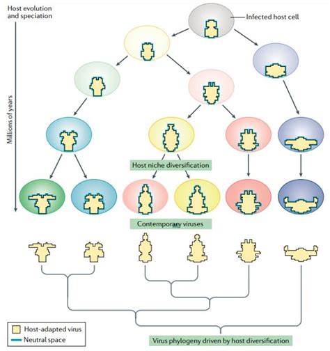 Evolution of Computer Viruses 的图像结果