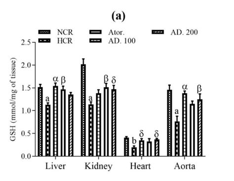 Histopathological of aorta