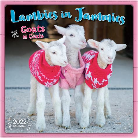 Buy Lambies in Jammies & Goats in Coats 2022 Calendar Book Online at ...