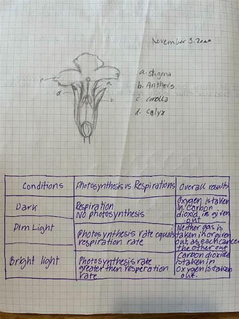Science Notebook Example 的图像结果