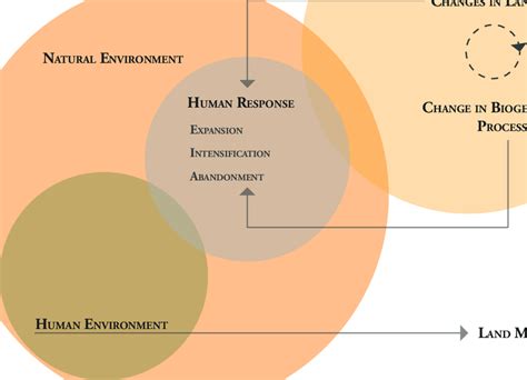 环境 的图像结果