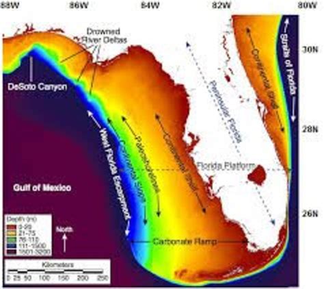 Prehistoric Florida, 12,000 years ago - HubPages