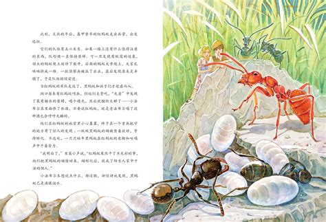 昆虫记16种昆虫卡片,昆虫记读书卡怎么画,昆虫卡片_大山谷图库