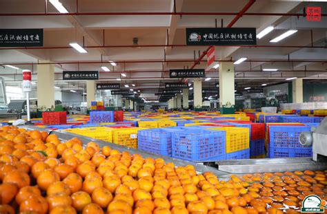 小任果业，不只是水果店，走进果蔬界的龙头企业_腾讯新闻
